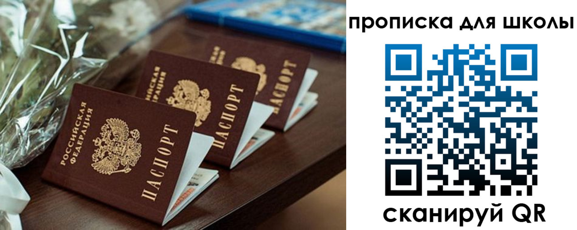 прописка гарантия в Брянске